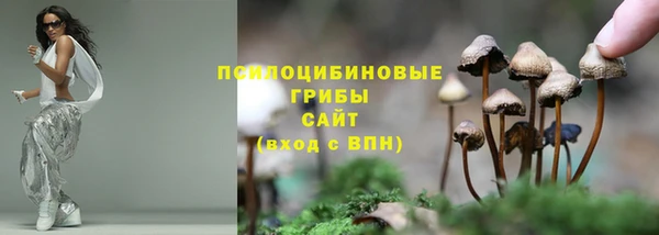 каннабис Медвежьегорск
