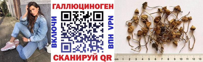 Галлюциногенные грибы Cubensis  Севастополь 