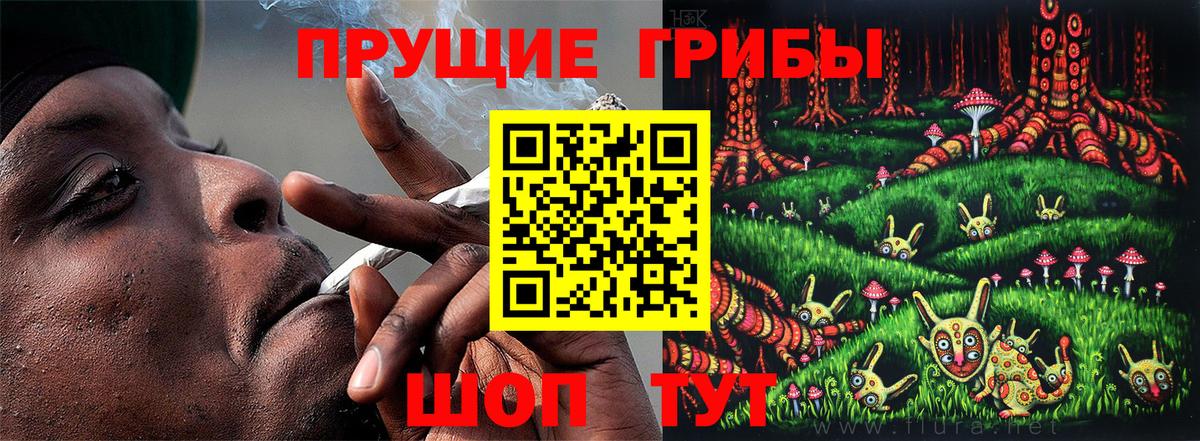 Псилоцибиновые грибы Psilocybe  дарнет шоп  Севастополь  Вход с VPN 