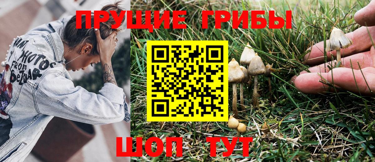 Псилоцибиновые грибы мицелий Севастополь